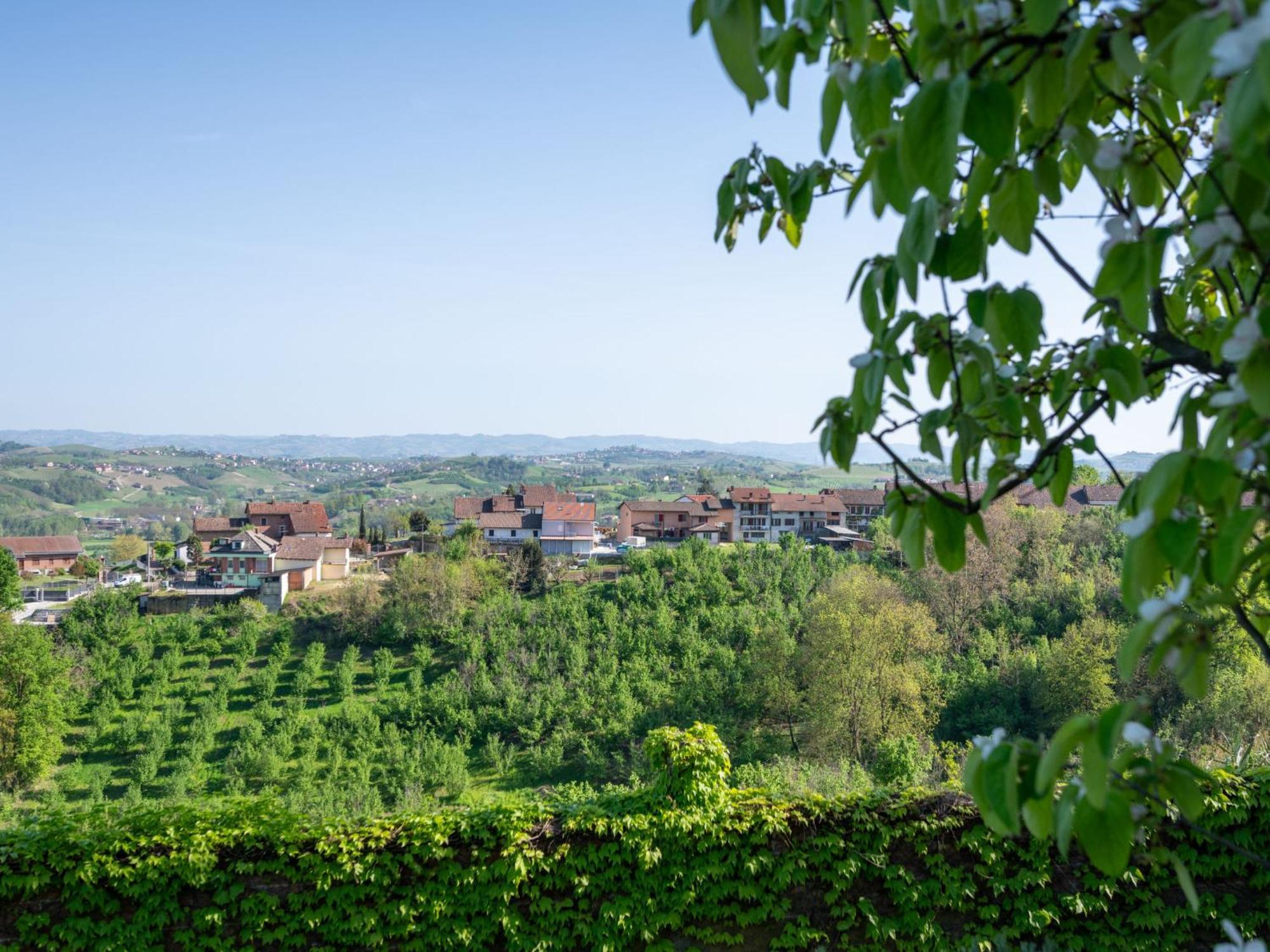 Locazione Turistica La Meridiana - SDI107 Villa San Damiano dʼAsti Esterno foto